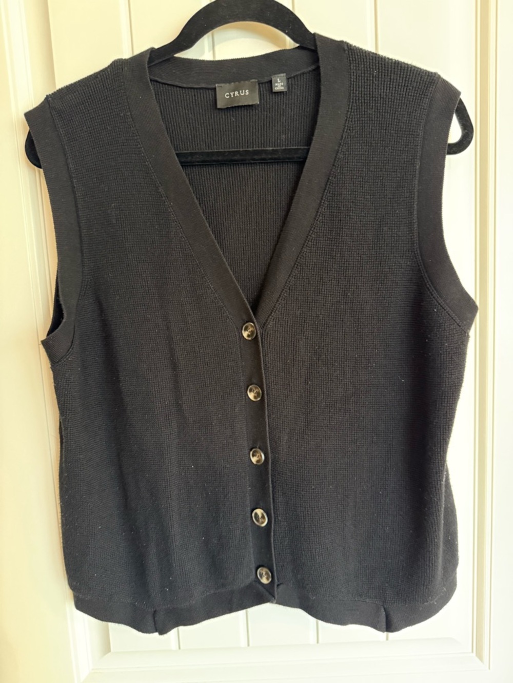 Cyrus Black Button Front Sweater Vest Size L Minimalist V Neck Knit Layered Chic